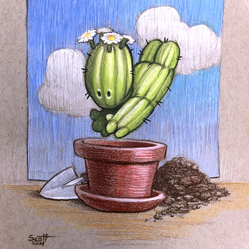 Potted Cactus