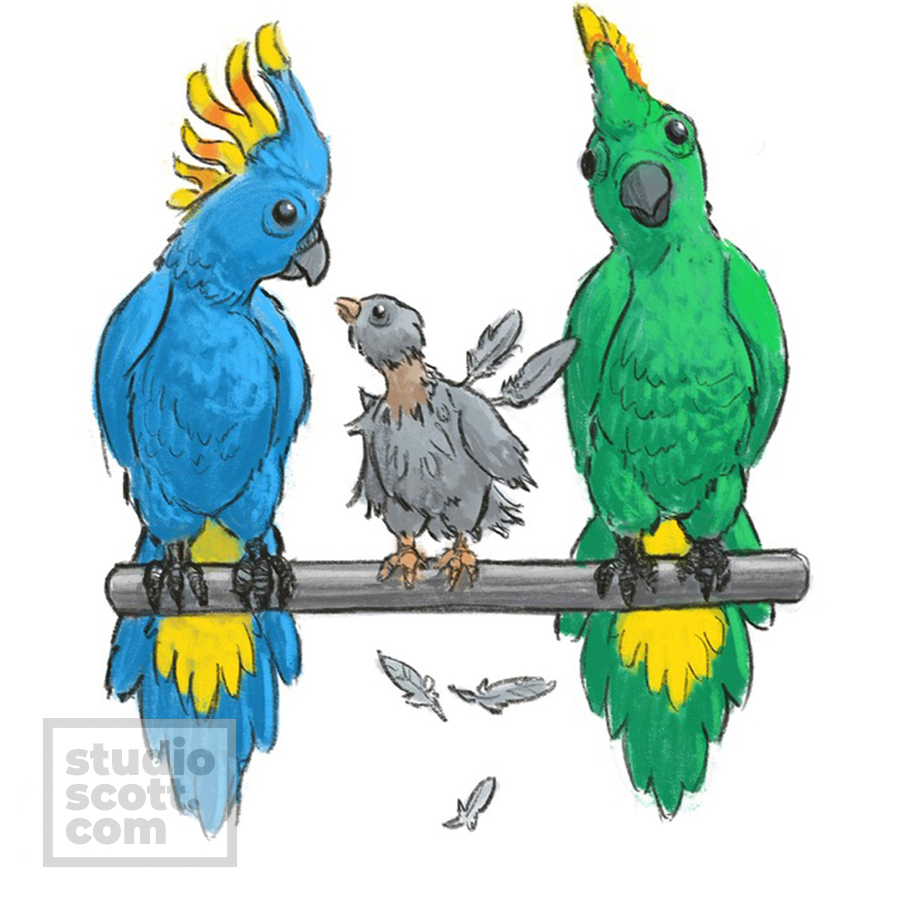 A molting pigeon perches between two beautiful tropical birds. It glares at one of them.