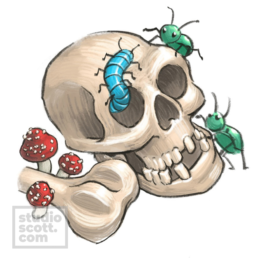 Colorful insects climb on a bare skull.